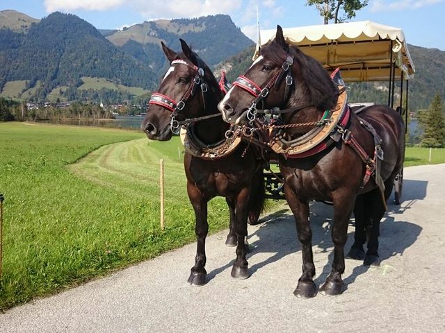 Reitanlage Dagnhof 